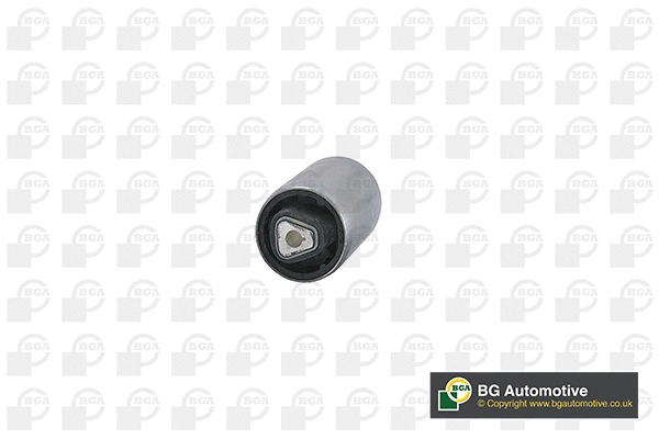 Mounting, control/trailing arm (BU0916)