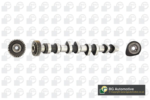 Camshaft (CS3910)