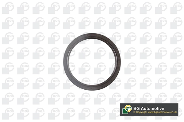 Shaft Seal, crankshaft (OS0361)