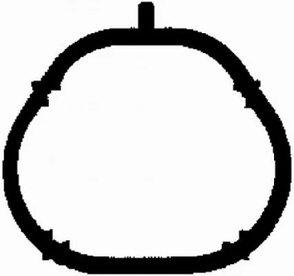 Gasket, exhaust manifold (MG2528)