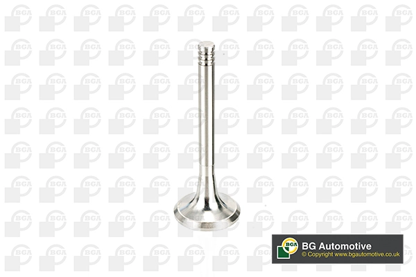 Exhaust Valve (V033035)