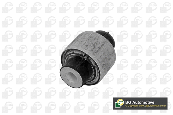 Mounting, control/trailing arm (BU0113)