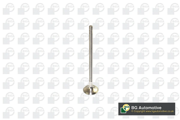 Exhaust Valve (V591702)