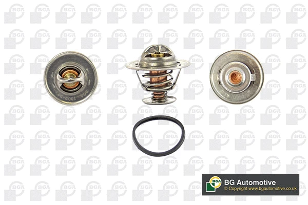 Thermostat, coolant (CT5421K)