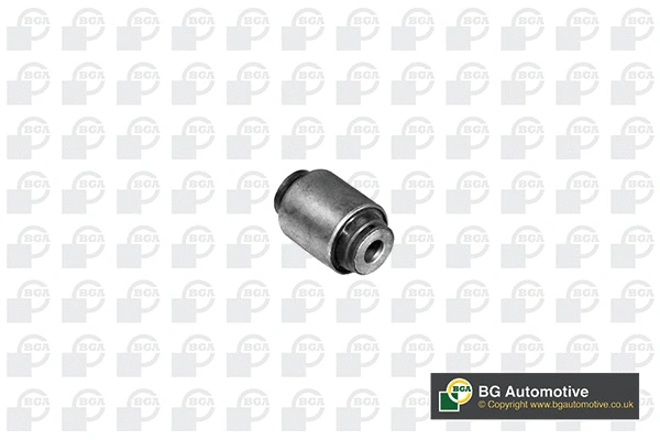 Mounting, control/trailing arm (BU7514)