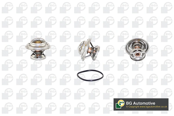 Thermostat, coolant (CT5246)