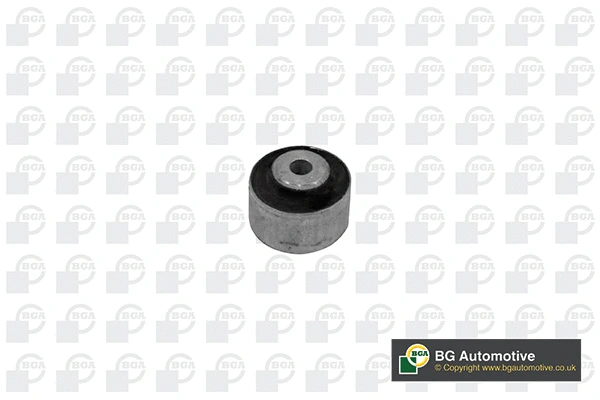Mounting, control/trailing arm (BU0145)