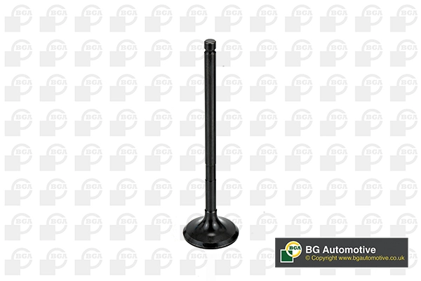 Exhaust Valve (V998746)