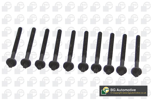 Cylinder Head Bolt Set (BK4316)