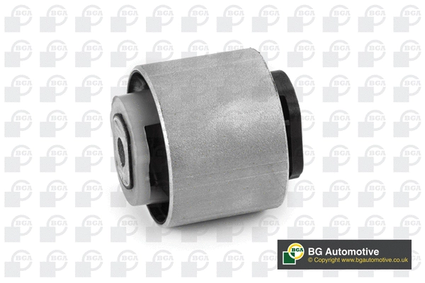 Mounting, control/trailing arm (BU0724)