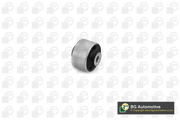 Mounting, control/trailing arm (BU0124)