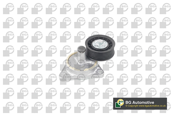 Tensioner Lever, V-ribbed belt (DC2312)