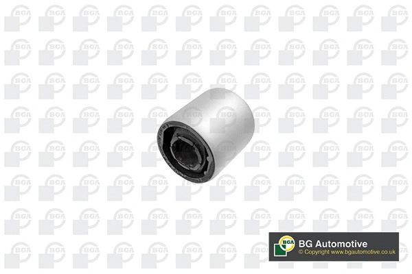 Mounting, control/trailing arm (BU5917)