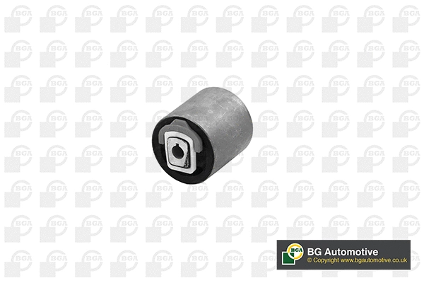 Mounting, control/trailing arm (BU0122)