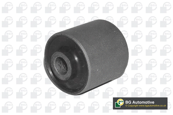 Mounting, control/trailing arm (BU4297)