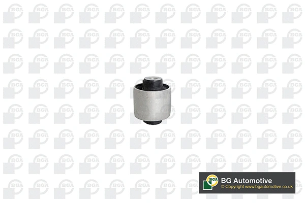 Mounting, control/trailing arm (BU0973)