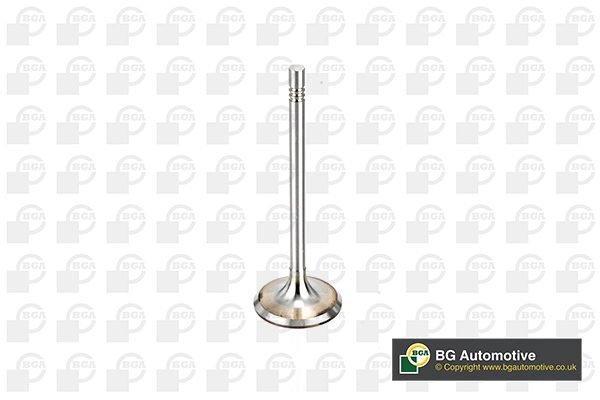 Intake Valve (V164520)