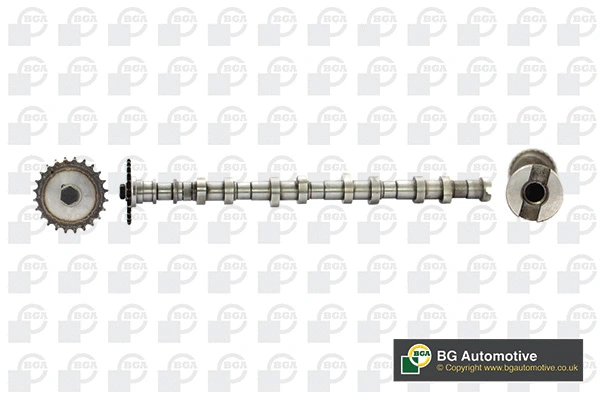 Camshaft (CS3600)