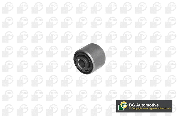 Mounting, control/trailing arm (BU2340)