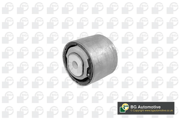 Mounting, control/trailing arm (BU3352)