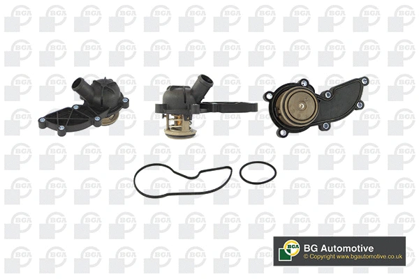 Thermostat, coolant (CT5594)