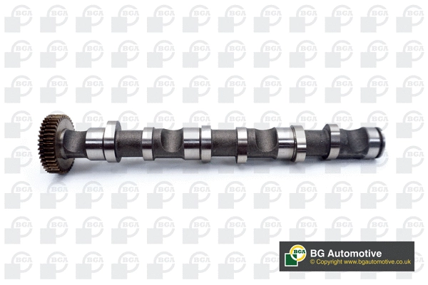 Camshaft (CS1521)