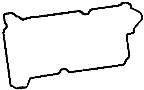 Gasket, cylinder head cover (RC7342)