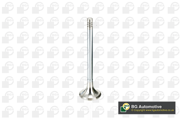 Exhaust Valve (V165961)