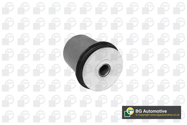 Mounting, control/trailing arm (BU9978)