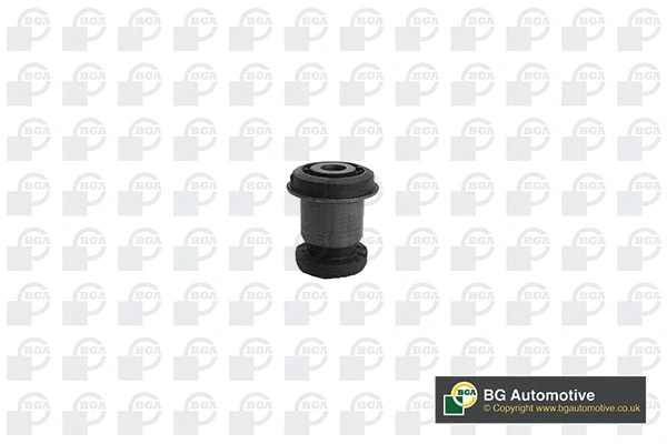 Mounting, control/trailing arm (BU5401)