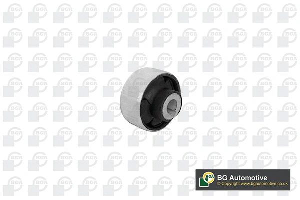 Mounting, control/trailing arm (BU2229)