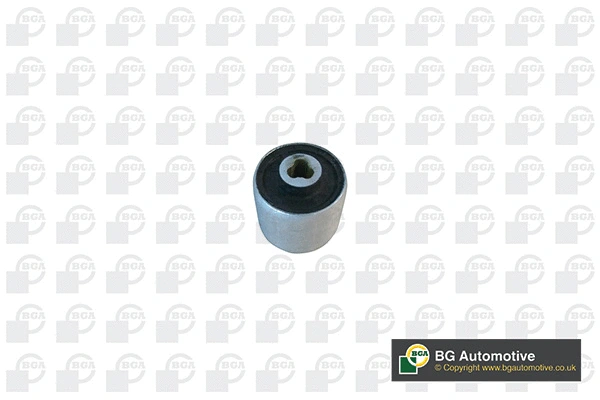 Mounting, control/trailing arm (BU5671)