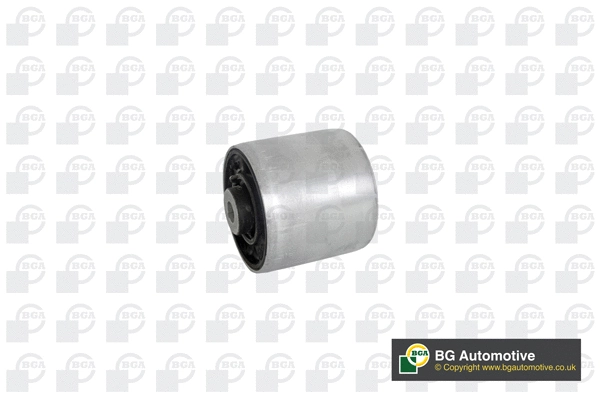 Mounting, control/trailing arm (BU9669)