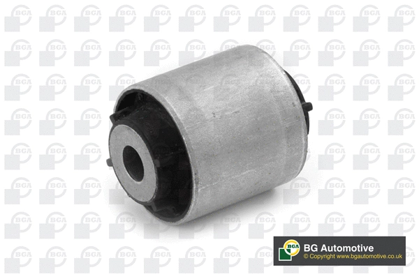 Mounting, control/trailing arm (BU0982)