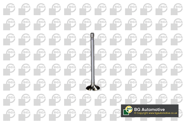 Exhaust Valve (V560012)