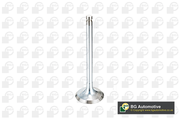 Intake Valve (V994546)