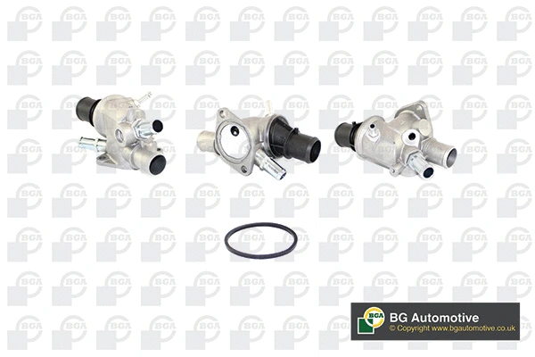 Thermostat, coolant (CT5016)