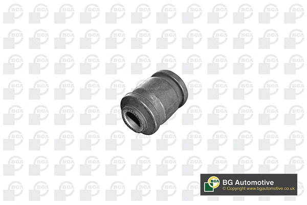 Mounting, control/trailing arm (BU9125)