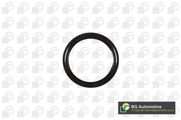 Shaft Seal, crankshaft (OS3387)