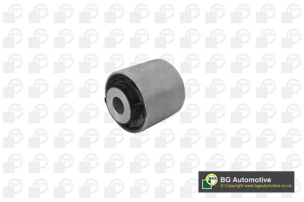 Mounting, control/trailing arm (BU5628)