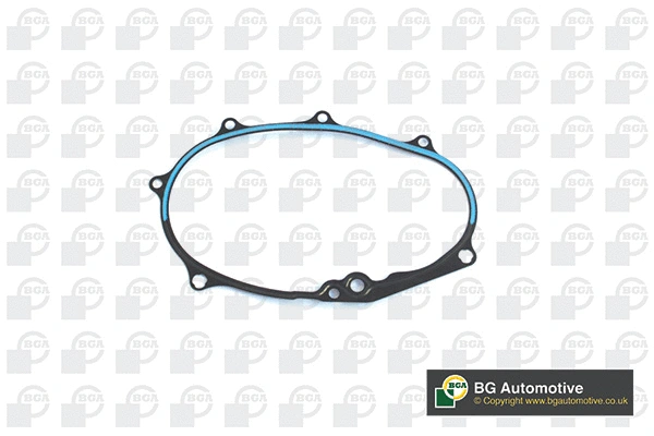 Gasket, timing case (AH0105)