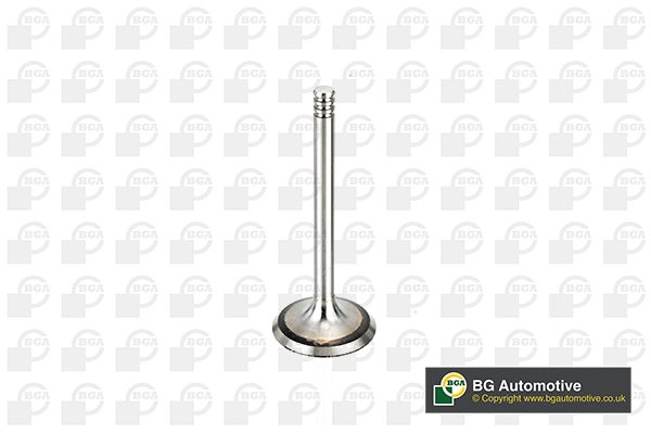Intake Valve (V998902)