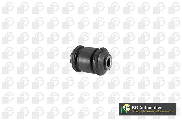 Mounting, control/trailing arm (BU6113)