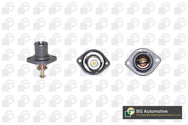 Thermostat, coolant (CT5301)