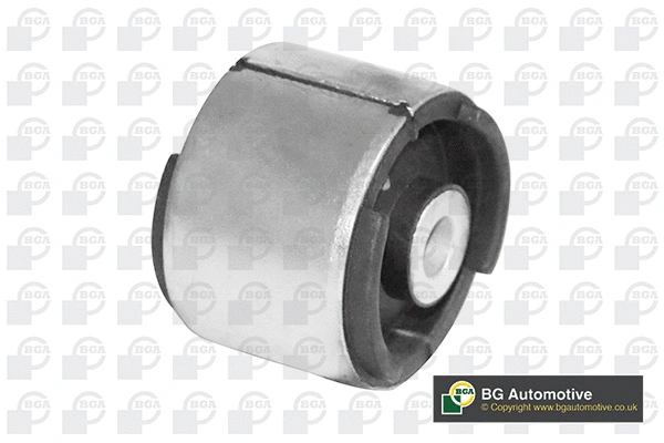 Mounting, control/trailing arm (BU0906)