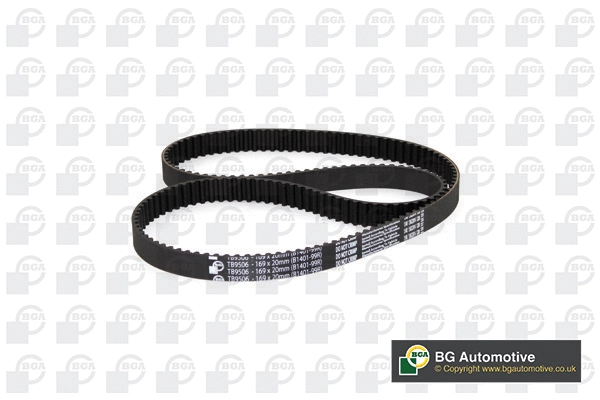 Timing Belt (TB9506)