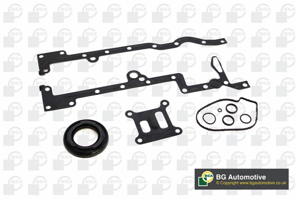 Gasket Kit, crankcase (CK0577)