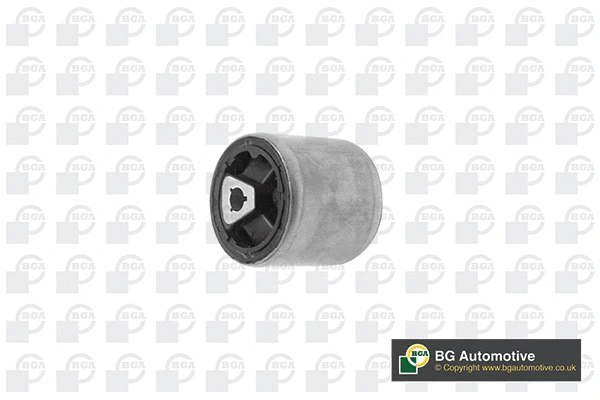 Mounting, control/trailing arm (BU0915)