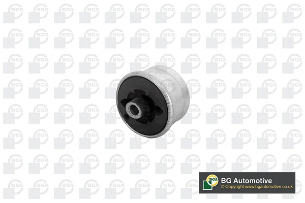 Mounting, control/trailing arm (BU3338)