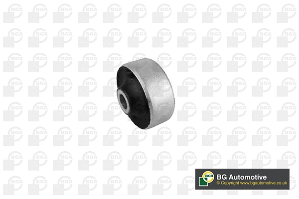 Mounting, control/trailing arm (BU7902)
